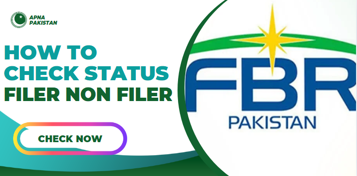 how to check status of filer non filer